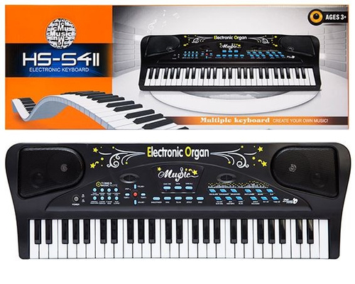 Duże organki, pianinko, keyboard z mikrofonem, 54 klawisze